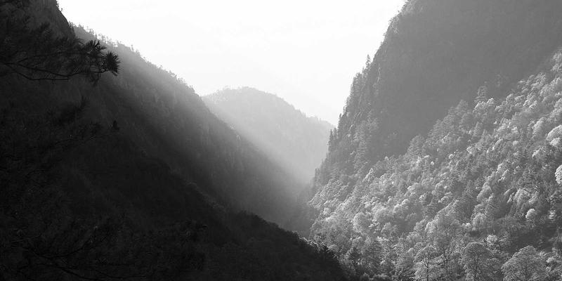 双峰木业27：当未来主义设计邂逅匠心定制，重新定义人居美学