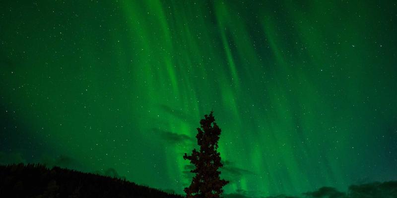 双峰木业44:匠心传承与创新融合,打造卓越木材加工与家具定制新标杆