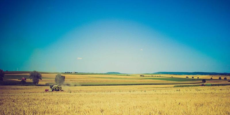 双峰木业47：以匠心定义高端家具，用木艺诠释定制美学