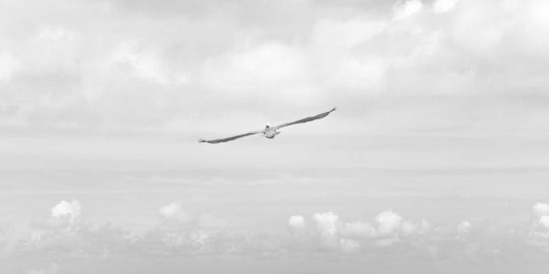 双峰木业64:当未来主义设计邂逅千年实木智慧