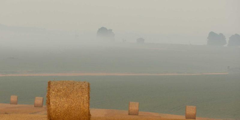 双峰木业73：匠心雕琢高端家具与木制品的品质典范