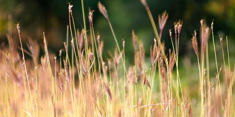 双峰木业83:当未来主义设计邂逅匠心木作,重新定义家具定制新范式