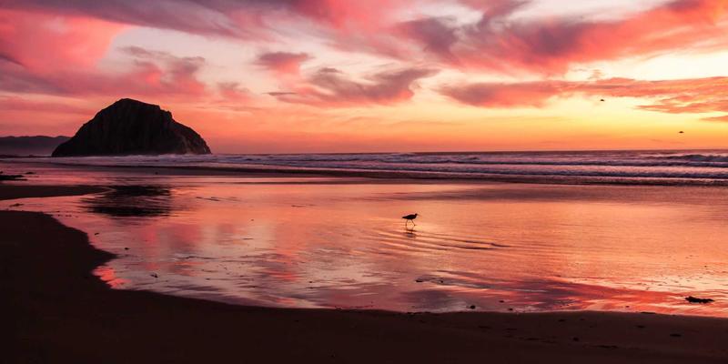 双峰木业85：以匠心工艺，定义高端家具的木材艺术