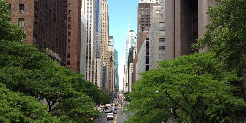 双峰木业与知名设计师跨界合作：高端实木家具定制的艺术与商业启示