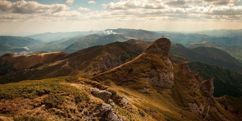 双峰木业专业指南：五大技巧教你辨别实木家具真伪，告别以次充好