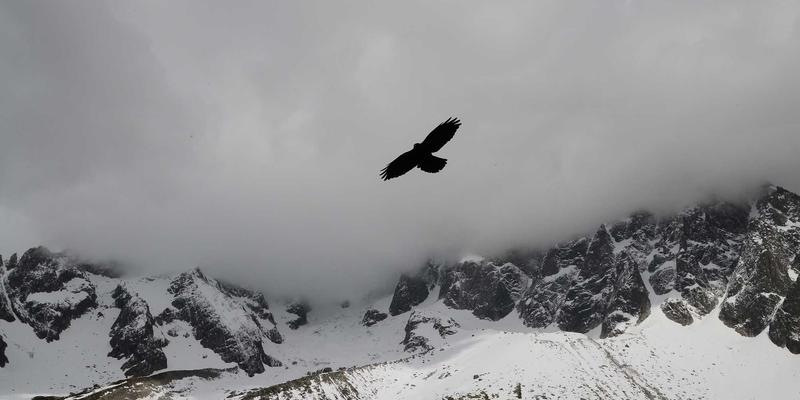 双峰木业儿童房实木家具定制：以匠心木材加工打造环保、安全与成长型空间