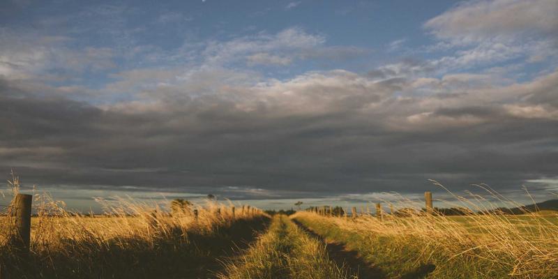 双峰木业全案设计：揭秘如何将智能灯光与温控系统无缝嵌入高端实木家具定制