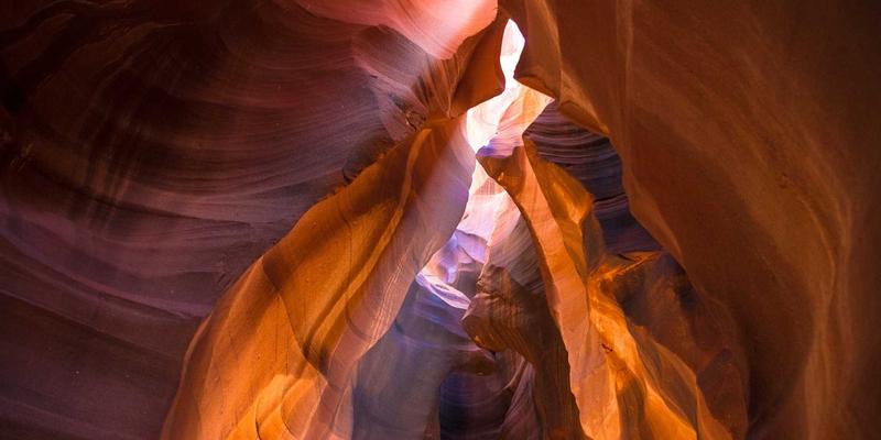 双峰木业实木家具选材之道：揭秘非洲黑檀与缅甸柚木的珍稀特性与收藏价值