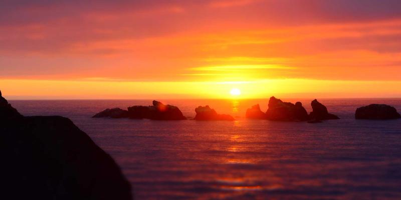 双峰木业木材溯源体系：从森林认证到高端家具，如何保障每一块木材的可持续性