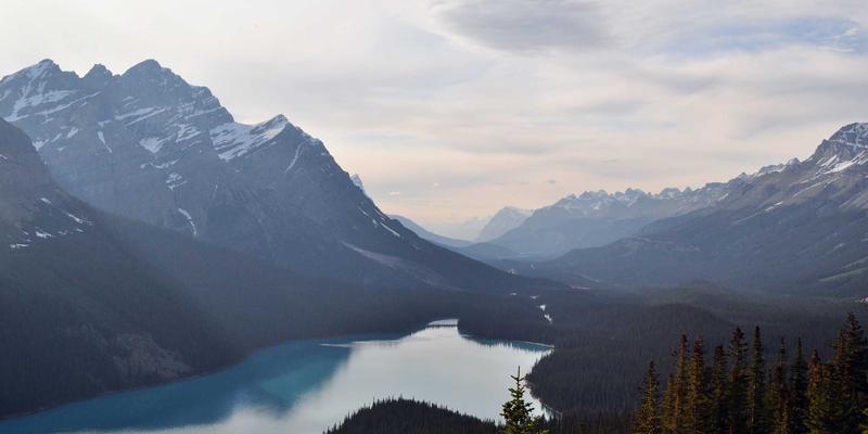 双峰木业环保工艺深度解析：无醛胶粘剂与环保涂装如何重塑高端家具健康标准