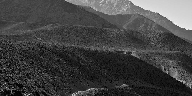 双峰木业进口木材深度解析：从源头到成品的家具定制品质把控体系