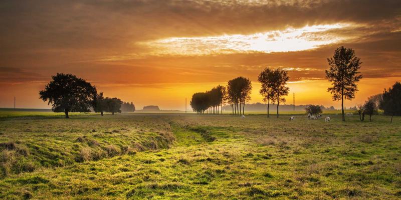 未来主义设计与自然之美的融合：双峰木业成长型儿童家具定制，打造安全、可变、趣味的成长空间